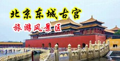 日本裸体美女操逼视频网站中国北京-东城古宫旅游风景区